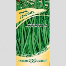 Вигна Графиня