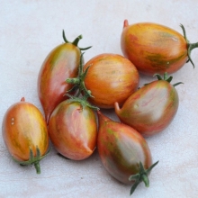 Томат Леденец коричневый