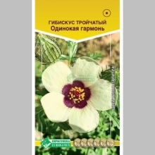 Гибискус Одинокая гармонь (тройчатый)