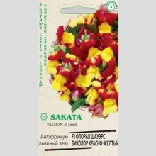 Антирринум Флорал Шауэрс Биколор Красно-желтый F1 (Львиный зев)