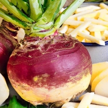 Брюква Гера