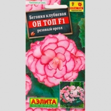 Бегония Он Топ F1 Розовый Ореол