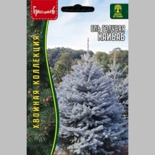 Ель Кайбаб голубая (Kaibab) (большой пакет)