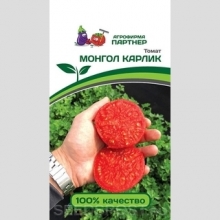 Томат Монгол Карлик