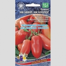 Томат Ни забот, ни хлопот