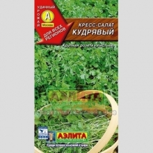 Кресс-салат Кудрявый