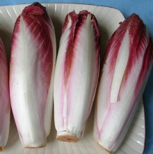 Салат Диетический цикорный