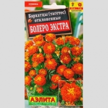 Бархатцы Болеро Экстра