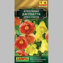 Абутилон Джульетта гибридный смесь сортов