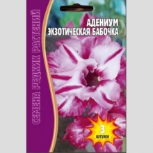 Адениум Экзотическая Бабочка (тучный) (большой пакет)