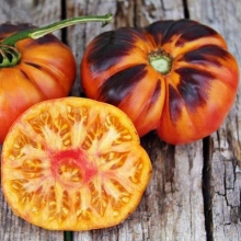 Томат Дневное наслаждение