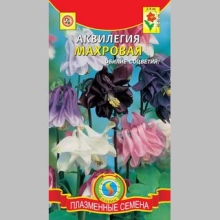 Аквилегия махровая смесь