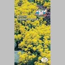 Алиссум Горное Золото