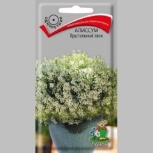 Алиссум Хрустальный звон