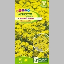 Алиссум Золотой Ковер