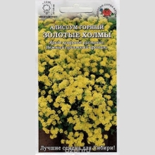 Алиссум Золотые холмы горный