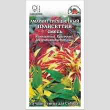 Амарант Пуансеттия трехцветный