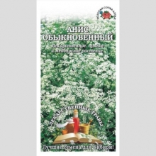 Анис Обыкновенный