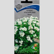Арабис альпийский Белый