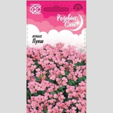 Арабис Пунш альпийский