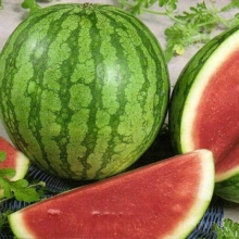 Арбуз Регус F1 (бессемянный)