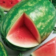 Арбуз Вересковый мед F1