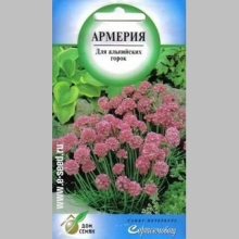 Армерия Великолепная