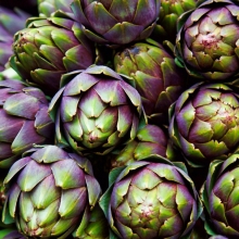 Артишок Фиолетовый шар