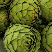 Артишок Гурман