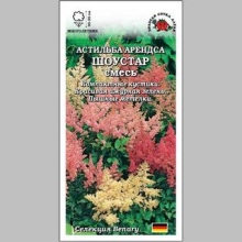 Астильба Арендса Шоустар