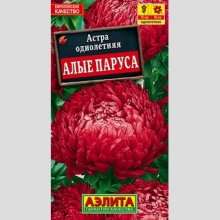 Астра Алые паруса