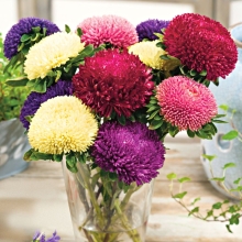 Астра Баллон смесь