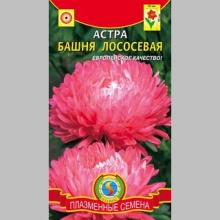 Астра Башня Лососевая