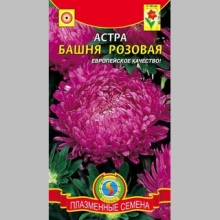 Астра Башня Розовая