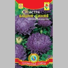 Астра Башня Синяя