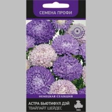 Астра Бьютифул Дэй Твайлайт Шейдес (Семена Профи)