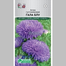 Астра Гала Блу