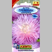 Астра Гремлин лавандовая