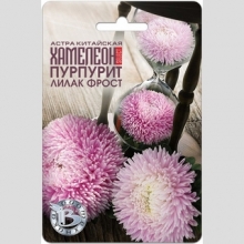 Астра Хамелеон селект Пурпурит Лилак Фрост