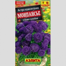 Астра Монпансье Темно-голубая