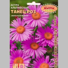 Астра Танец роз альпийская (большой пакет)