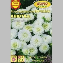 Астра Внученька Анютка