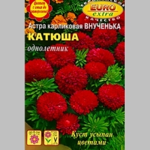 Астра Внученька Катюша