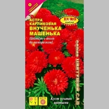 Астра Внученька Машенька