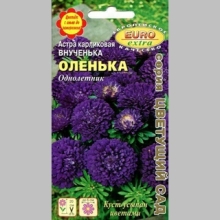 Астра Внученька Оленька