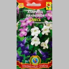 Азарина лазающая Смесь
