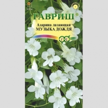 Азарина Музыка дождя