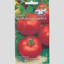 Томат Непасынкующийся