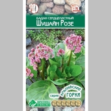 Бадан Шушайн Розе сердцелистный