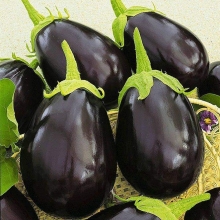 Баклажан Мурмаш F1